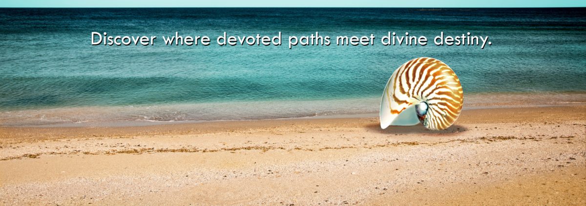 Divine Destiny & Devoted Paths | Uniquely created. Holistically Embraced. | Oceans Edge Ministry Lifestyle Book | Christian Biblical Program and Manual